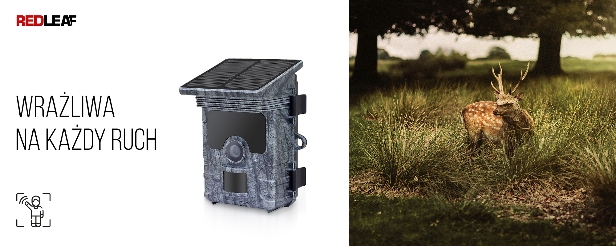 Kamera obserwacyjna z panelem słonecznym Redleaf RD7000 WiFi oraz rogacz ukrywający się w trawie na tle drzew